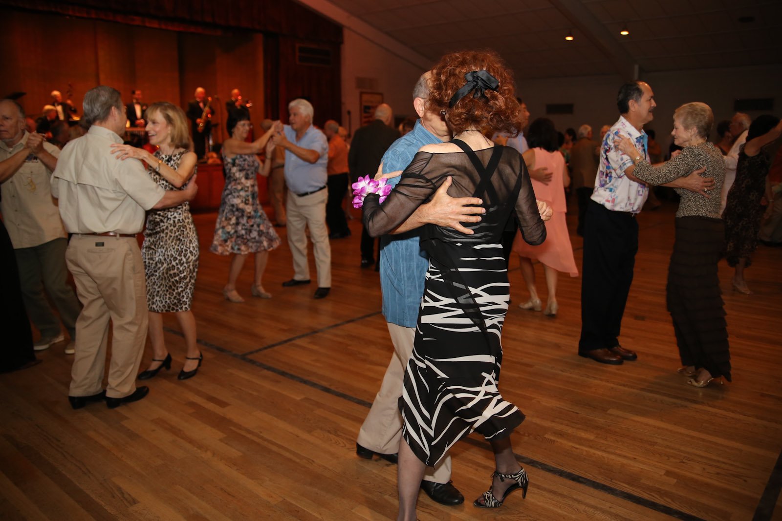 mmdc0820160335.jpg