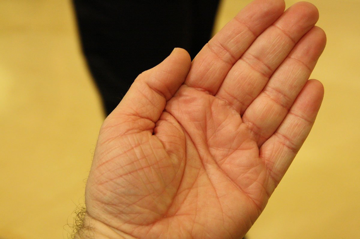 acc20111978.jpg