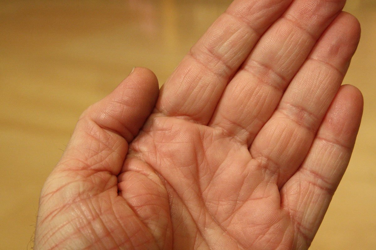 acc20113172.jpg